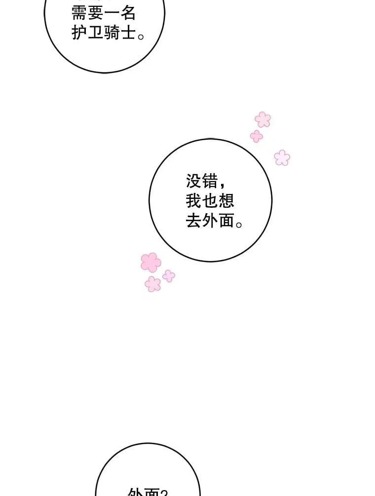 81.护卫骑士46