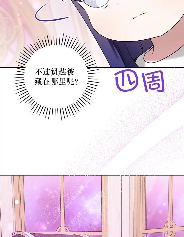 84.粉兔子61