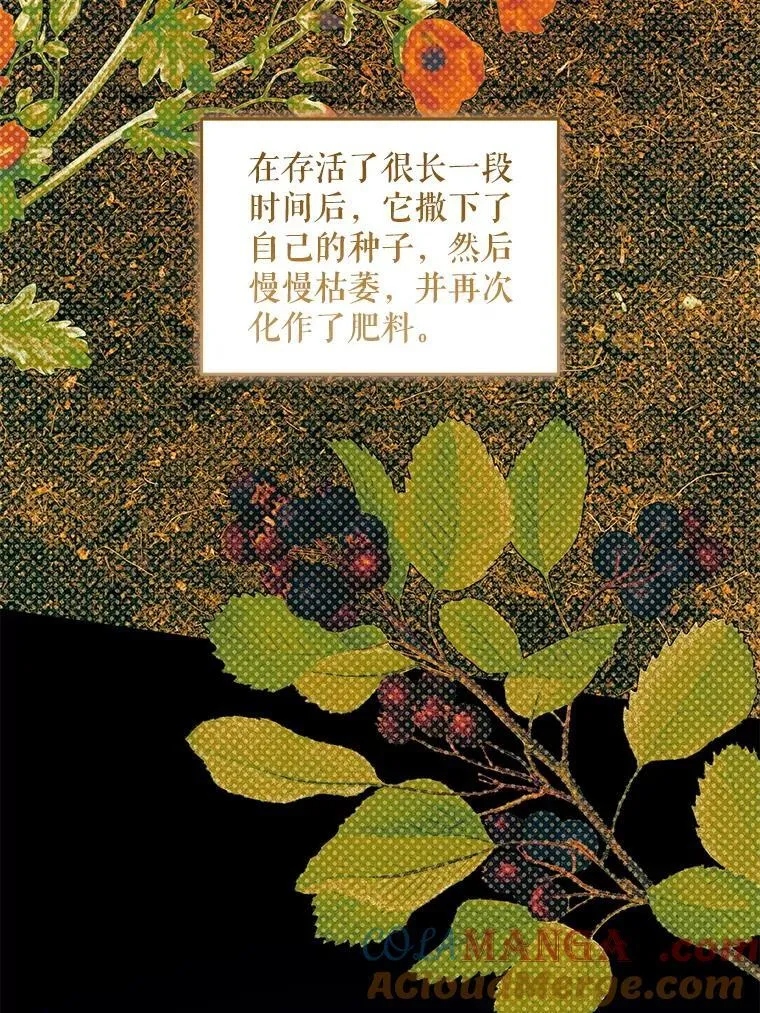 88.不讨厌128