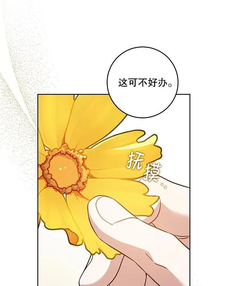 91.被改动的魔法15