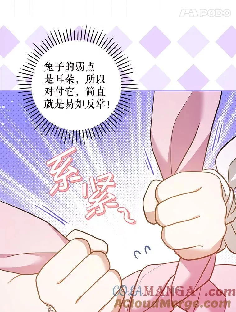84.粉兔子80