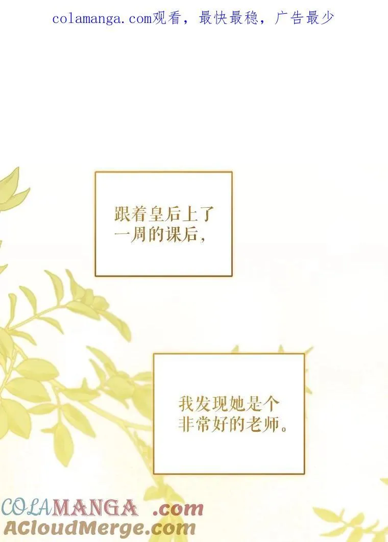 81.护卫骑士0