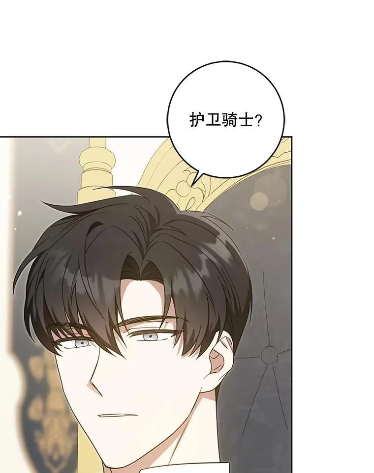 81.护卫骑士42