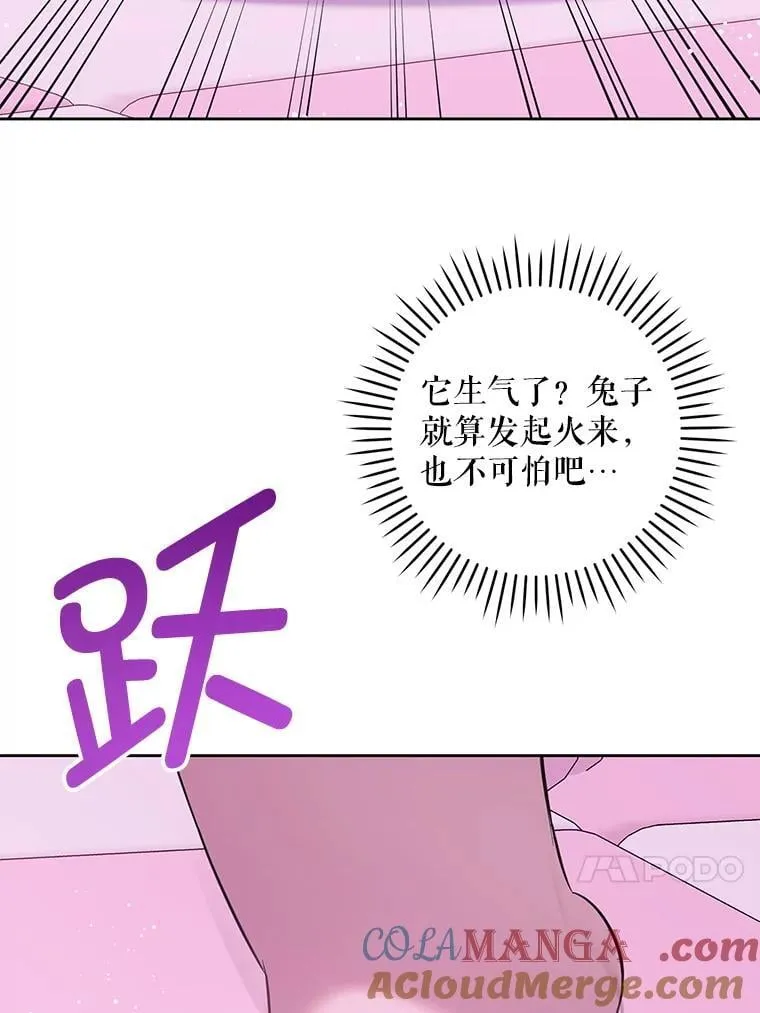 84.粉兔子112