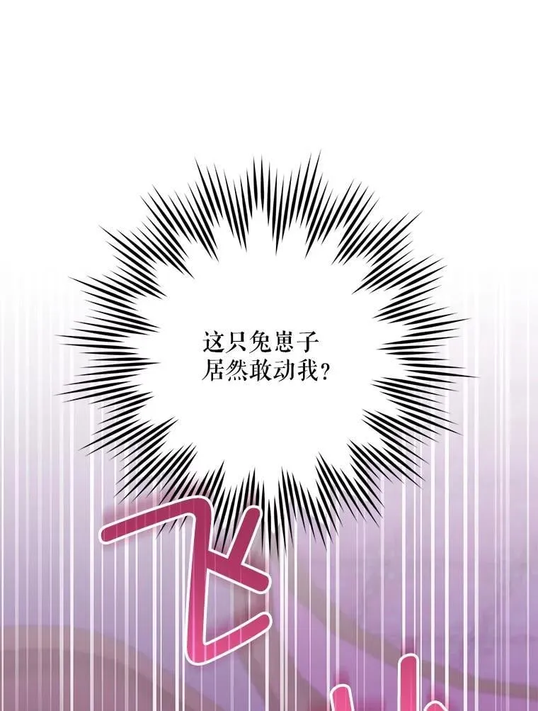 84.粉兔子74