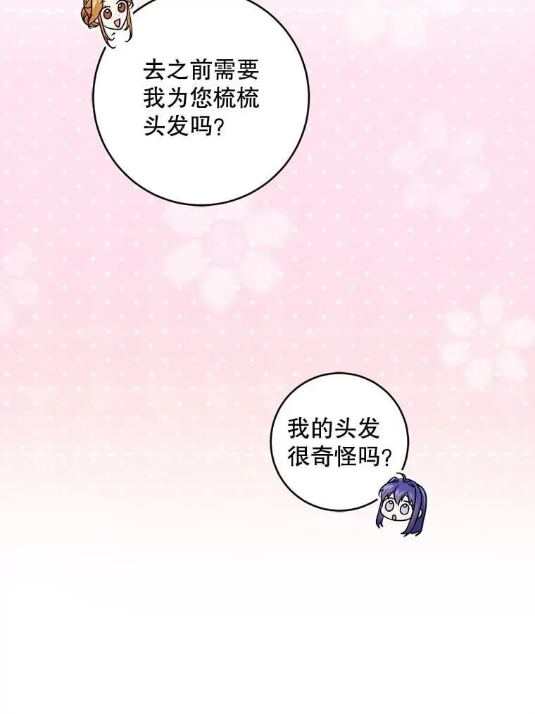 81.护卫骑士14