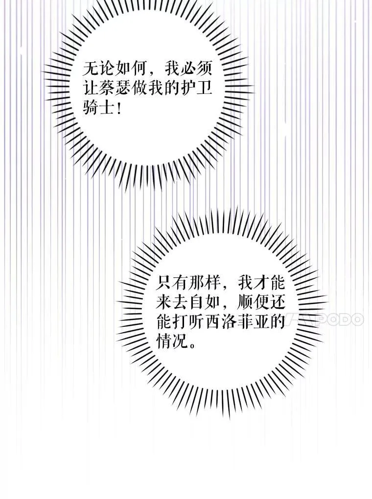 81.护卫骑士101