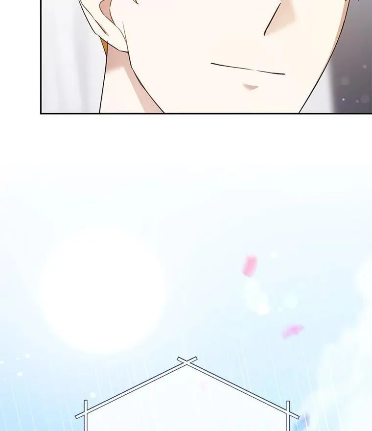84.粉兔子31