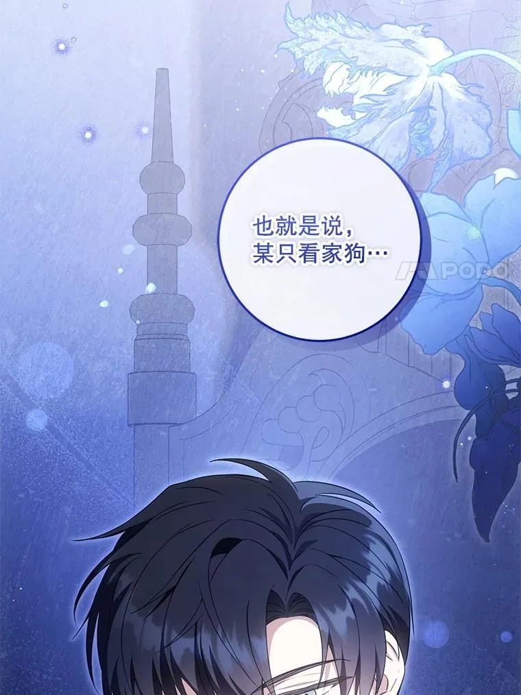 81.护卫骑士66