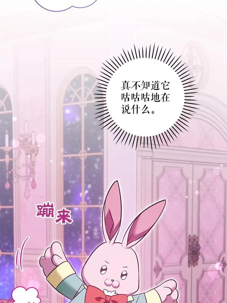 84.粉兔子54