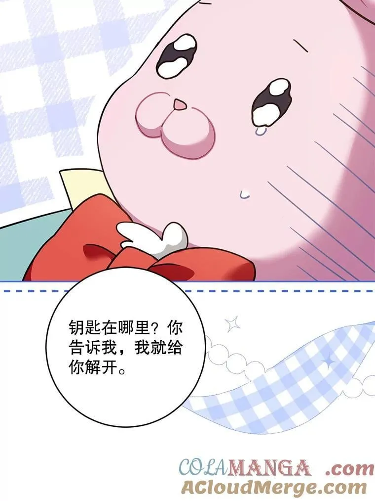 84.粉兔子88
