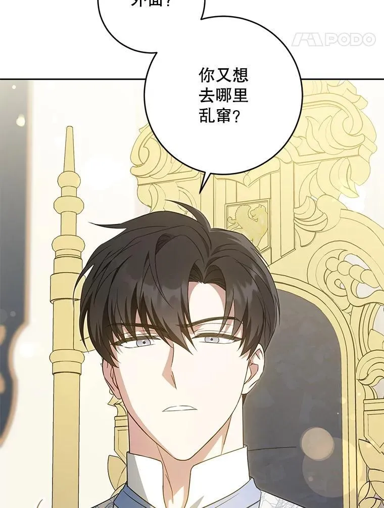 81.护卫骑士47