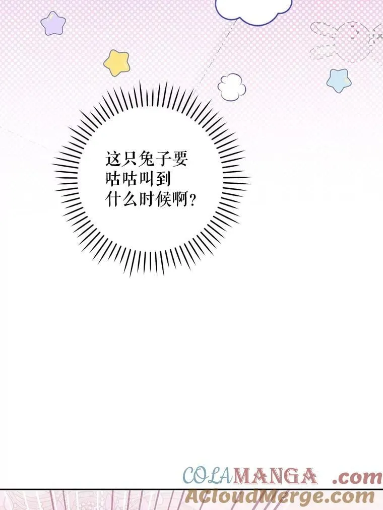 84.粉兔子52