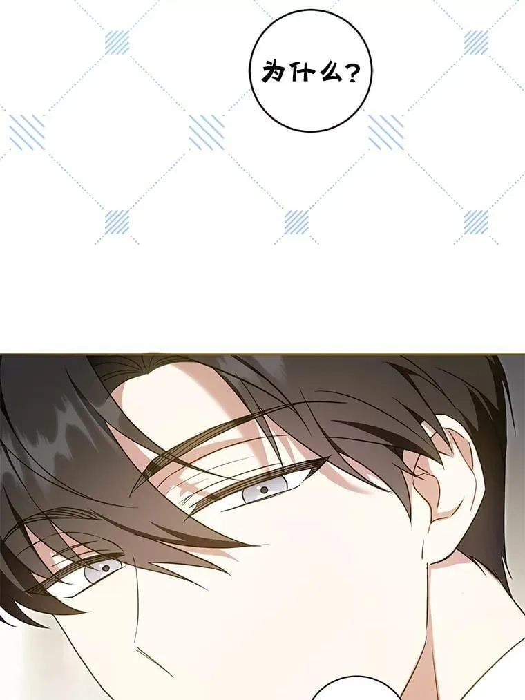81.护卫骑士75