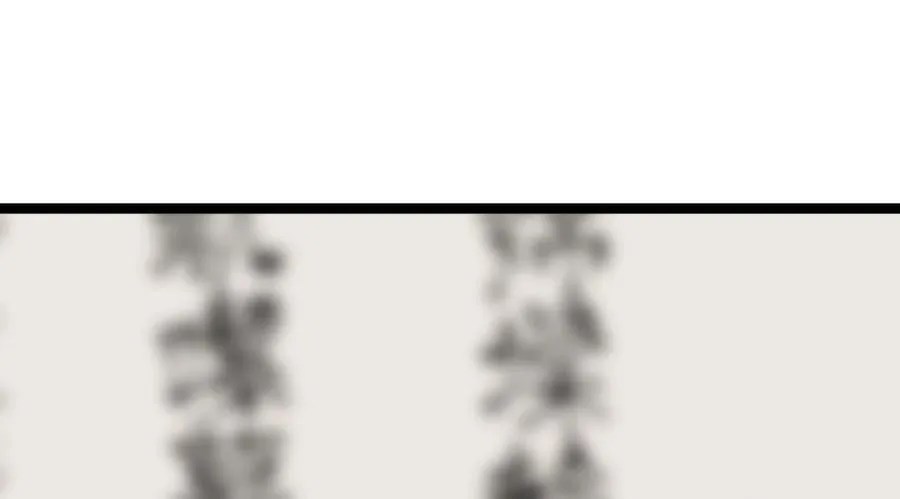 267.北海龙王298