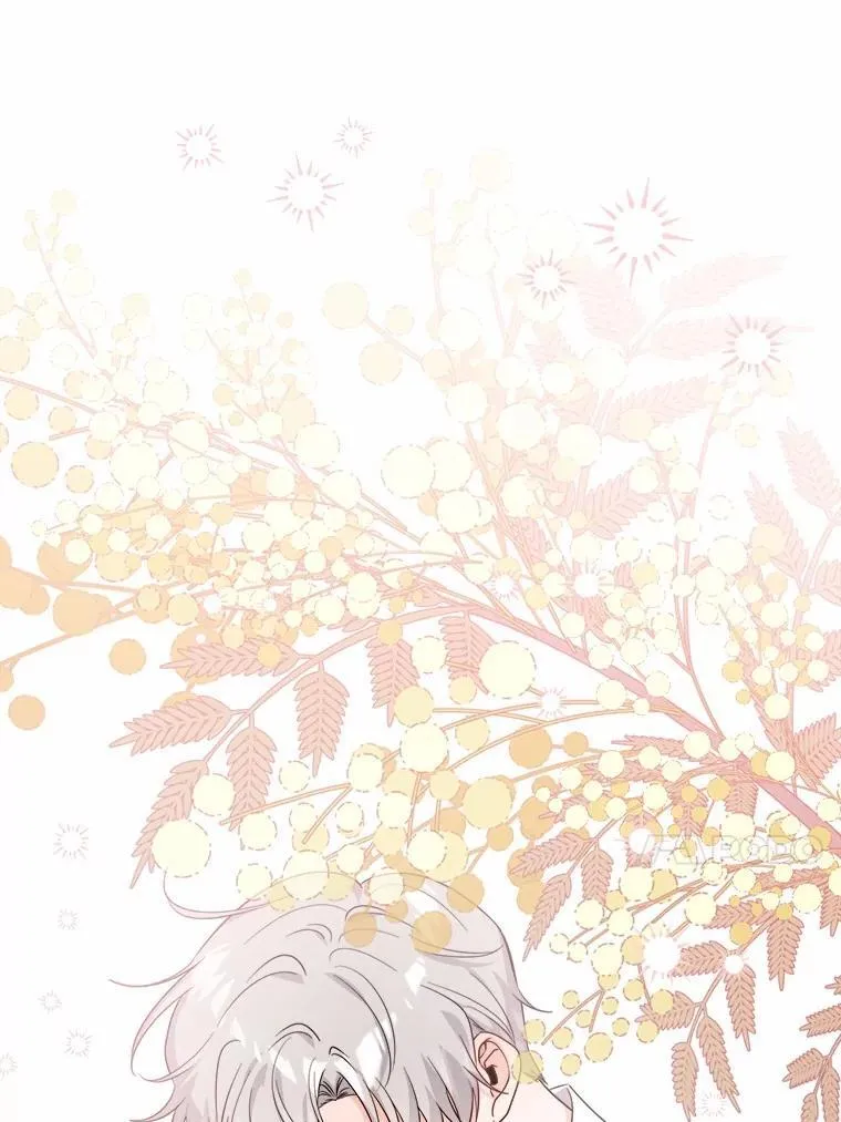 71.骗局45