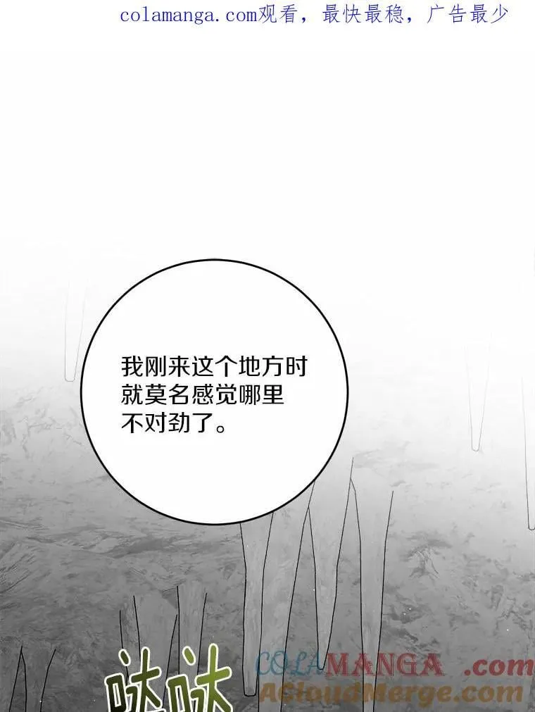 74.艾婕尔的身份0