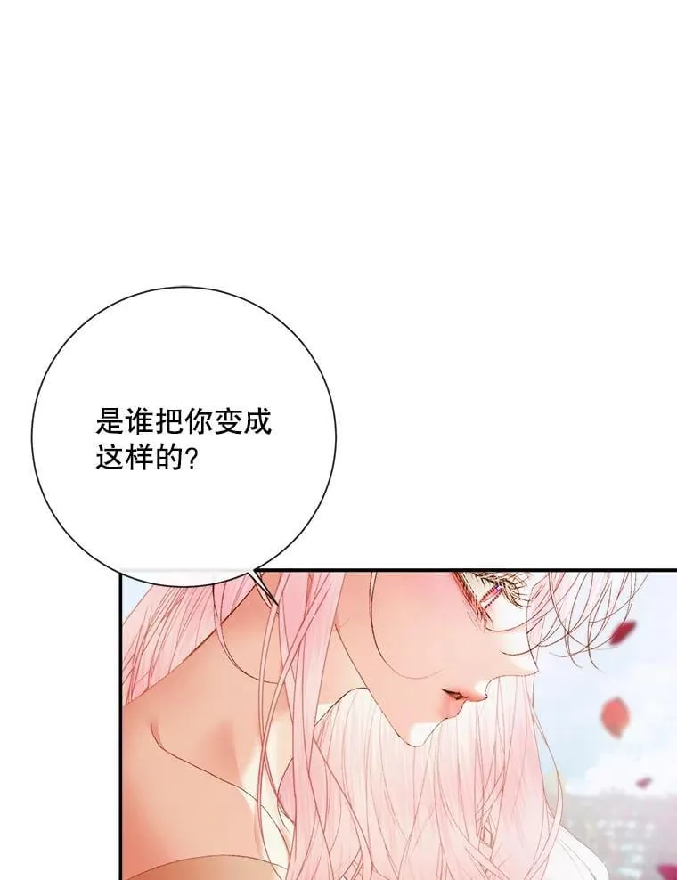 115.安息41