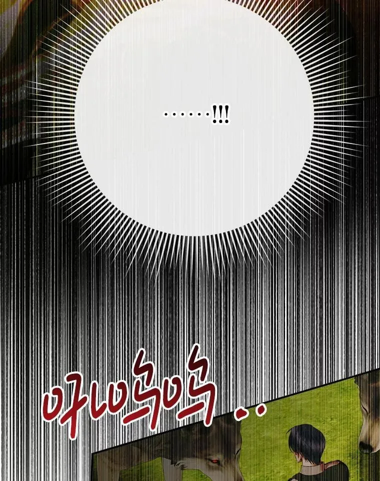 114.凋零的玫瑰18