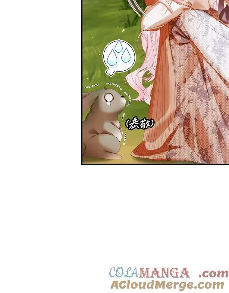 112.发狂的兔子112