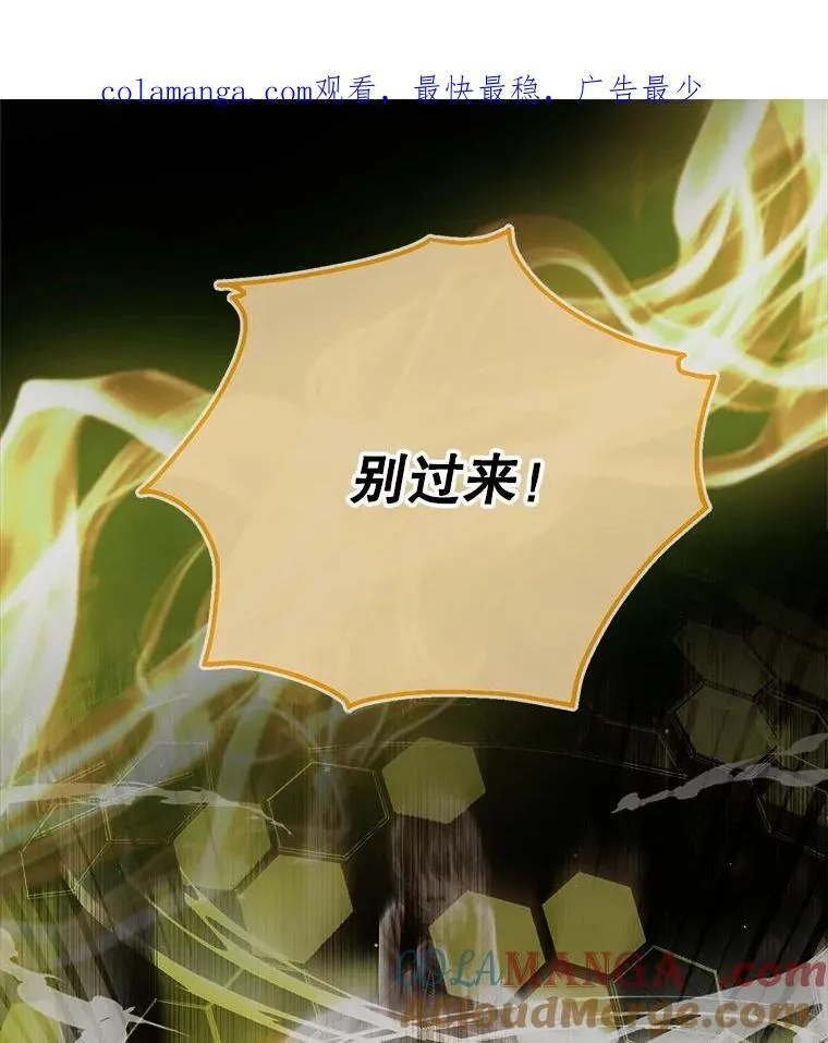 114.凋零的玫瑰0