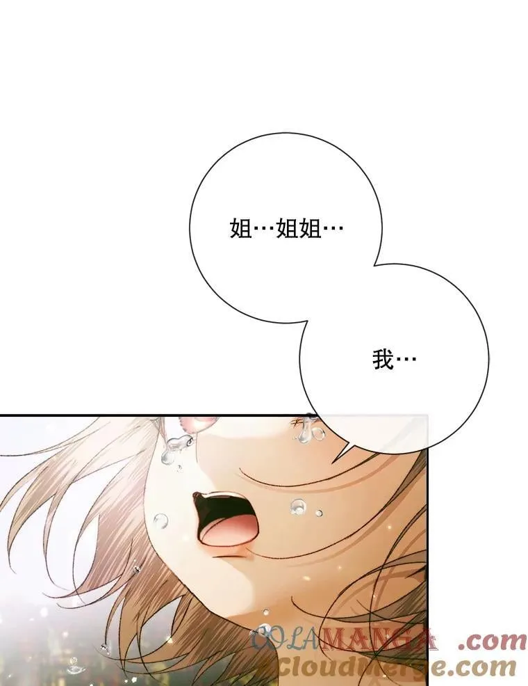 114.凋零的玫瑰100