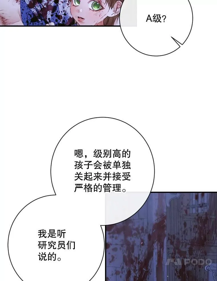 119.地下室97