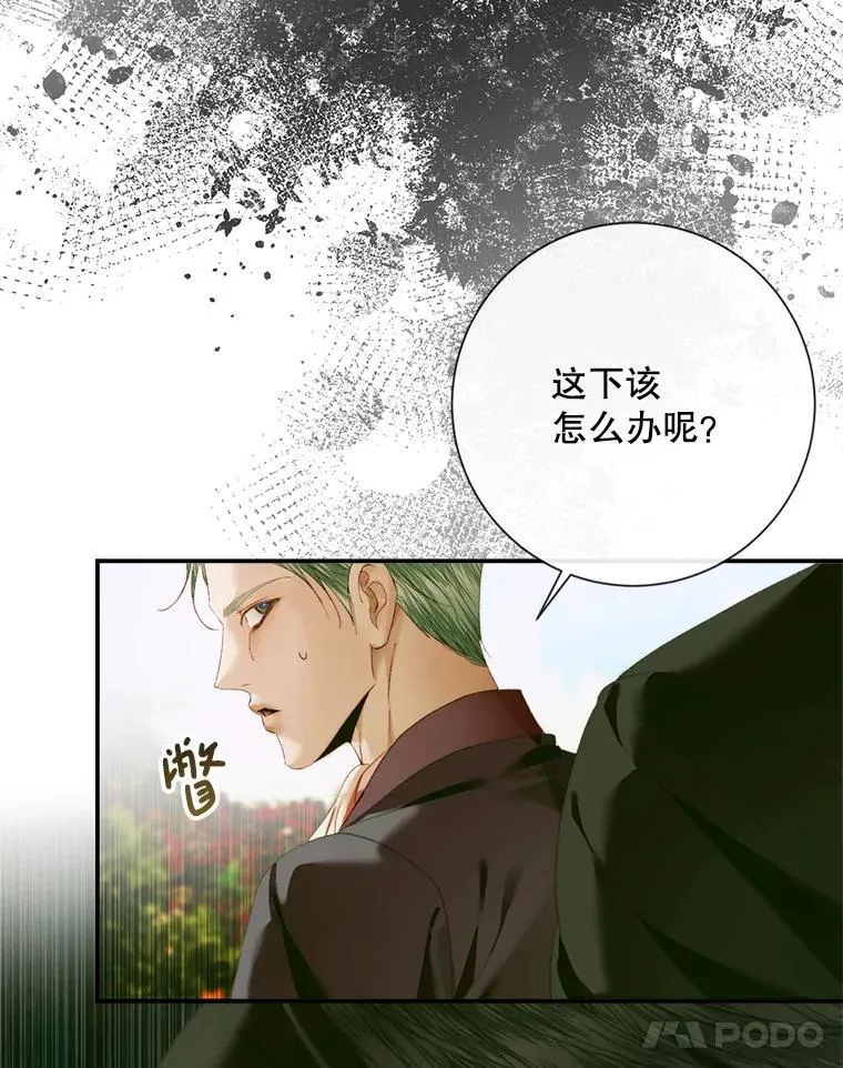 114.凋零的玫瑰27