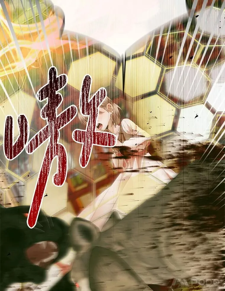 114.凋零的玫瑰37