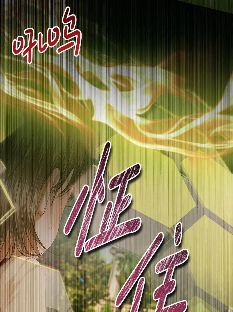 114.凋零的玫瑰11