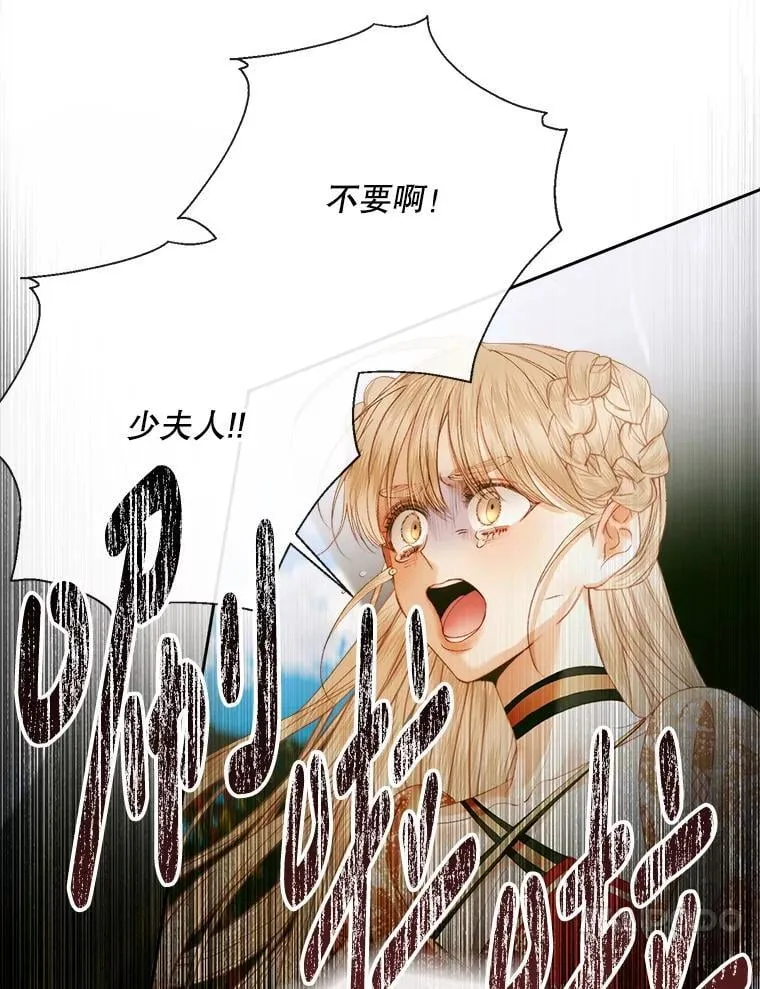 114.凋零的玫瑰69