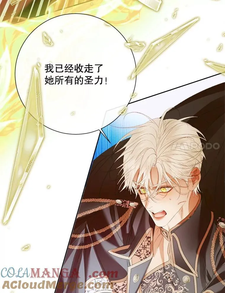 114.凋零的玫瑰76