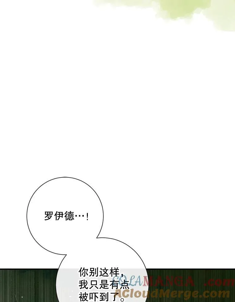 112.发狂的兔子104