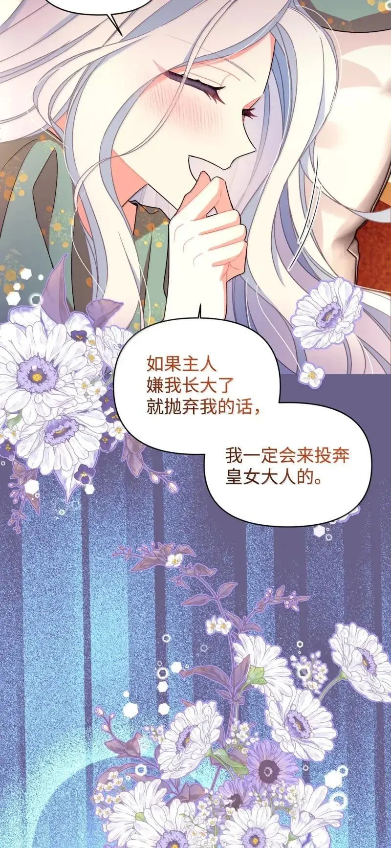 55 小狗争夺战43
