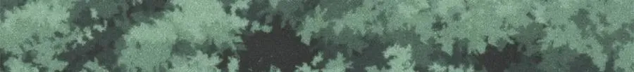 394 你已经是一台成熟的挖掘机了118
