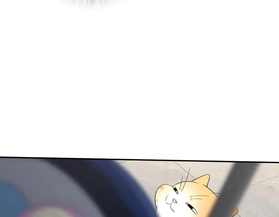34251