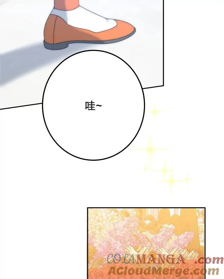 115.处置方案8
