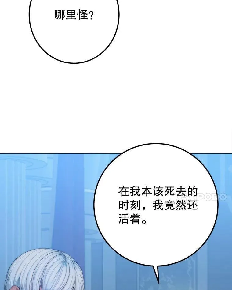 108.借口13