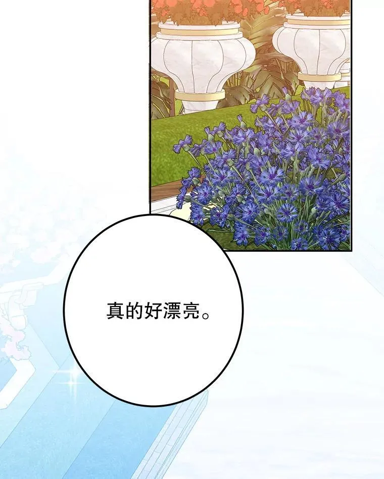 115.处置方案9