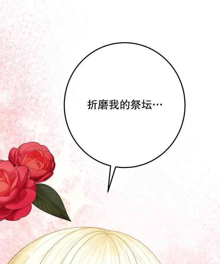 107.摧毁祭坛117
