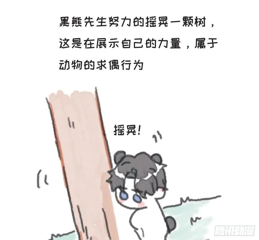 动物世界小番外311