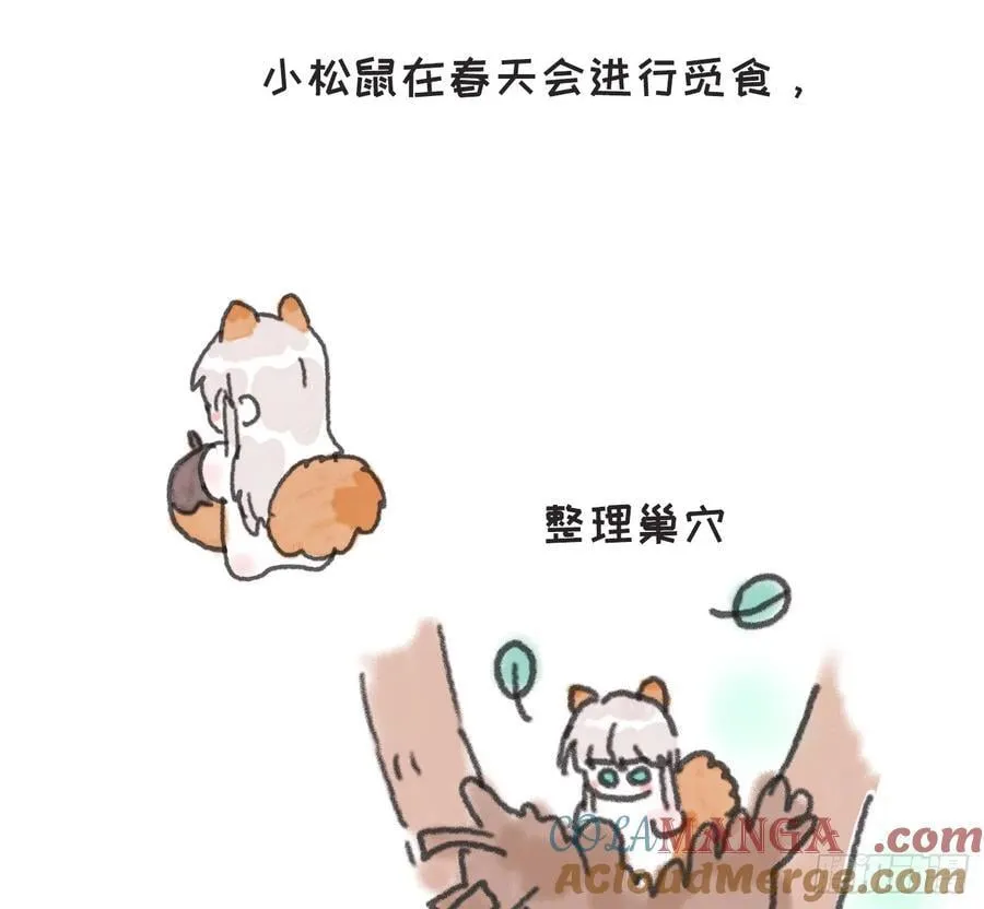 动物世界小番外34