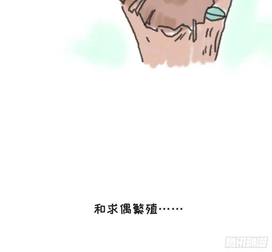 动物世界小番外35