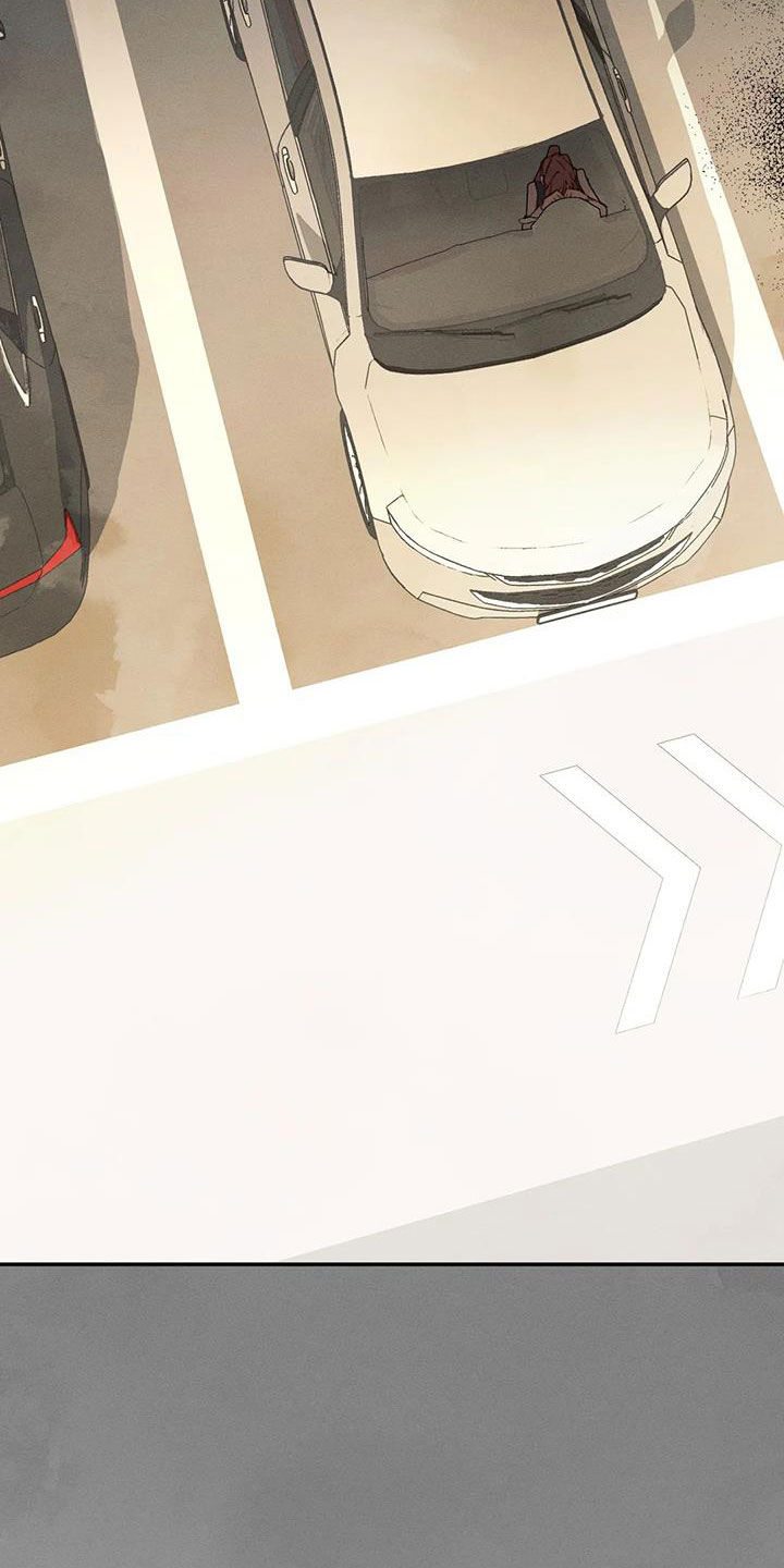 第46章：碰巧13