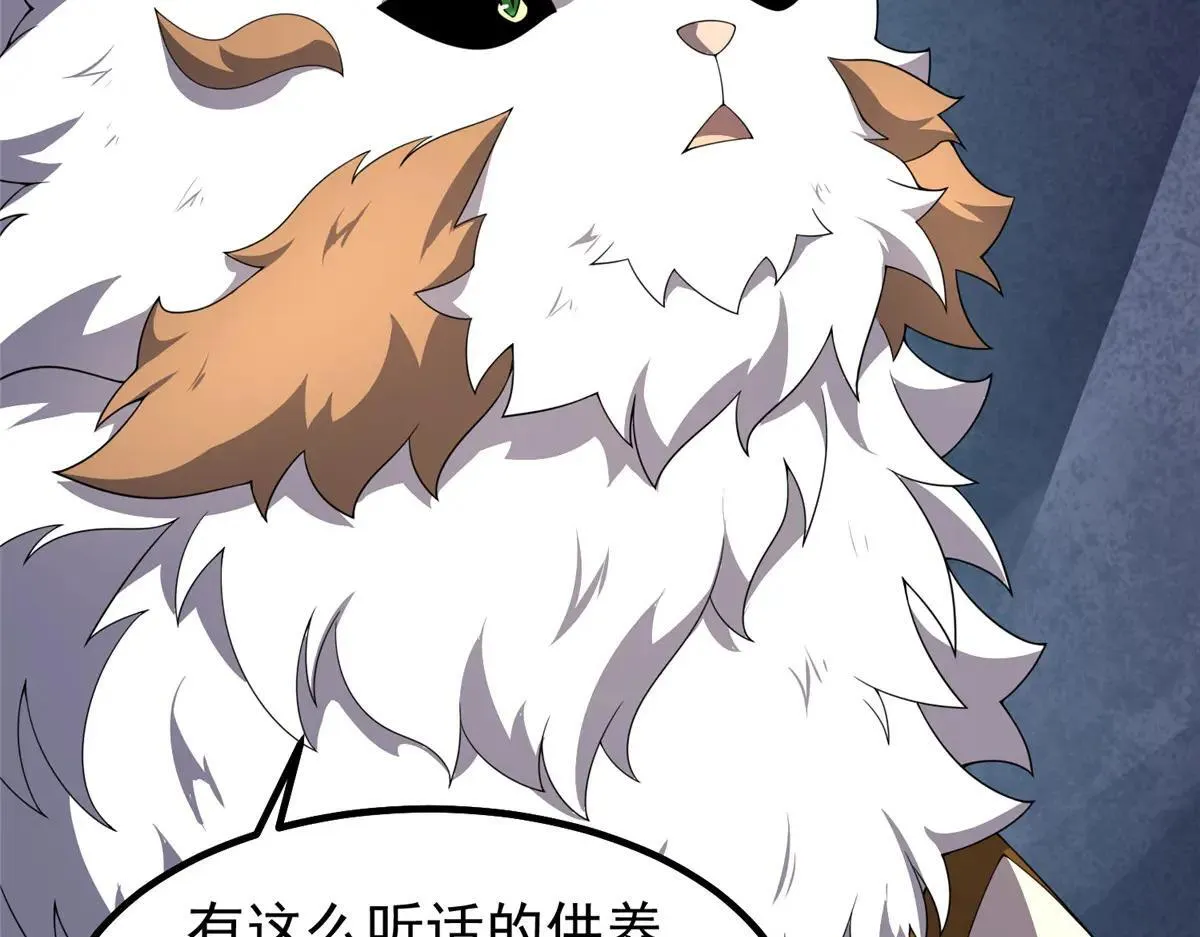373 位面纷争41