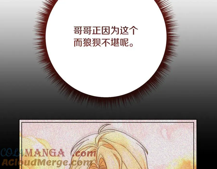 第203话 兄妹齐心172