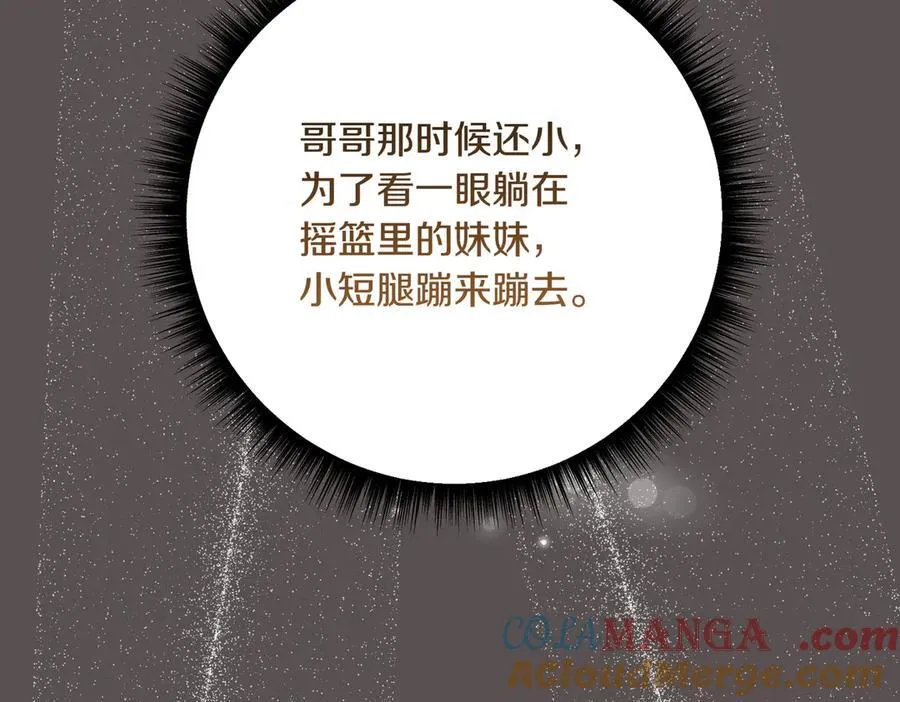 第203话 兄妹齐心28