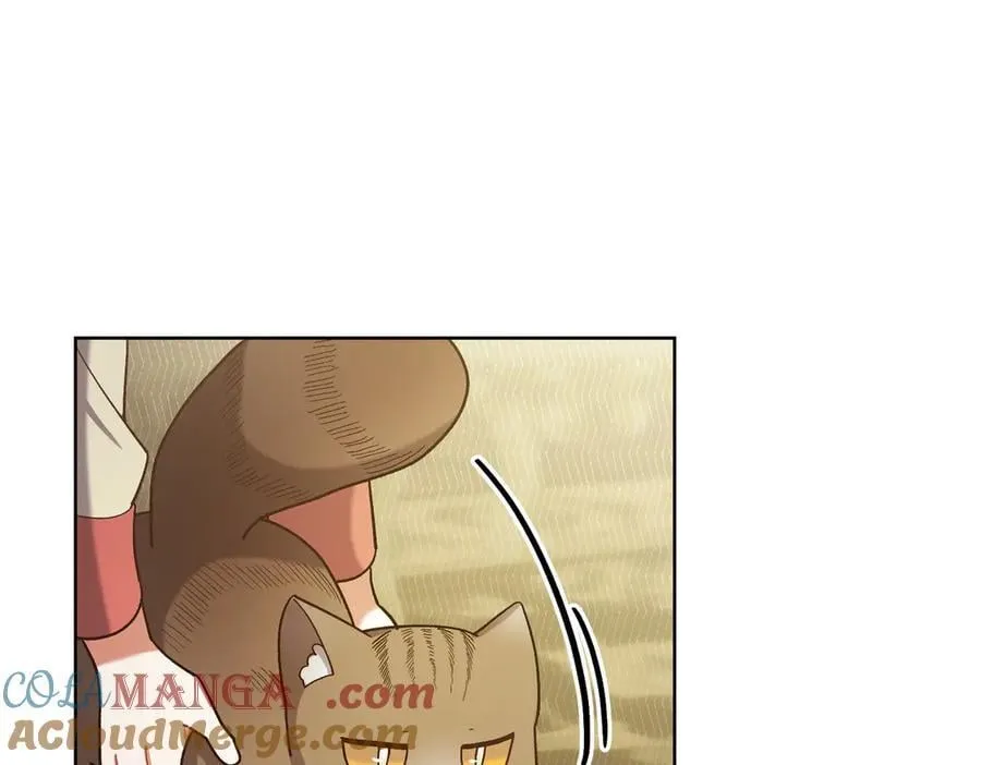 第203话 兄妹齐心16