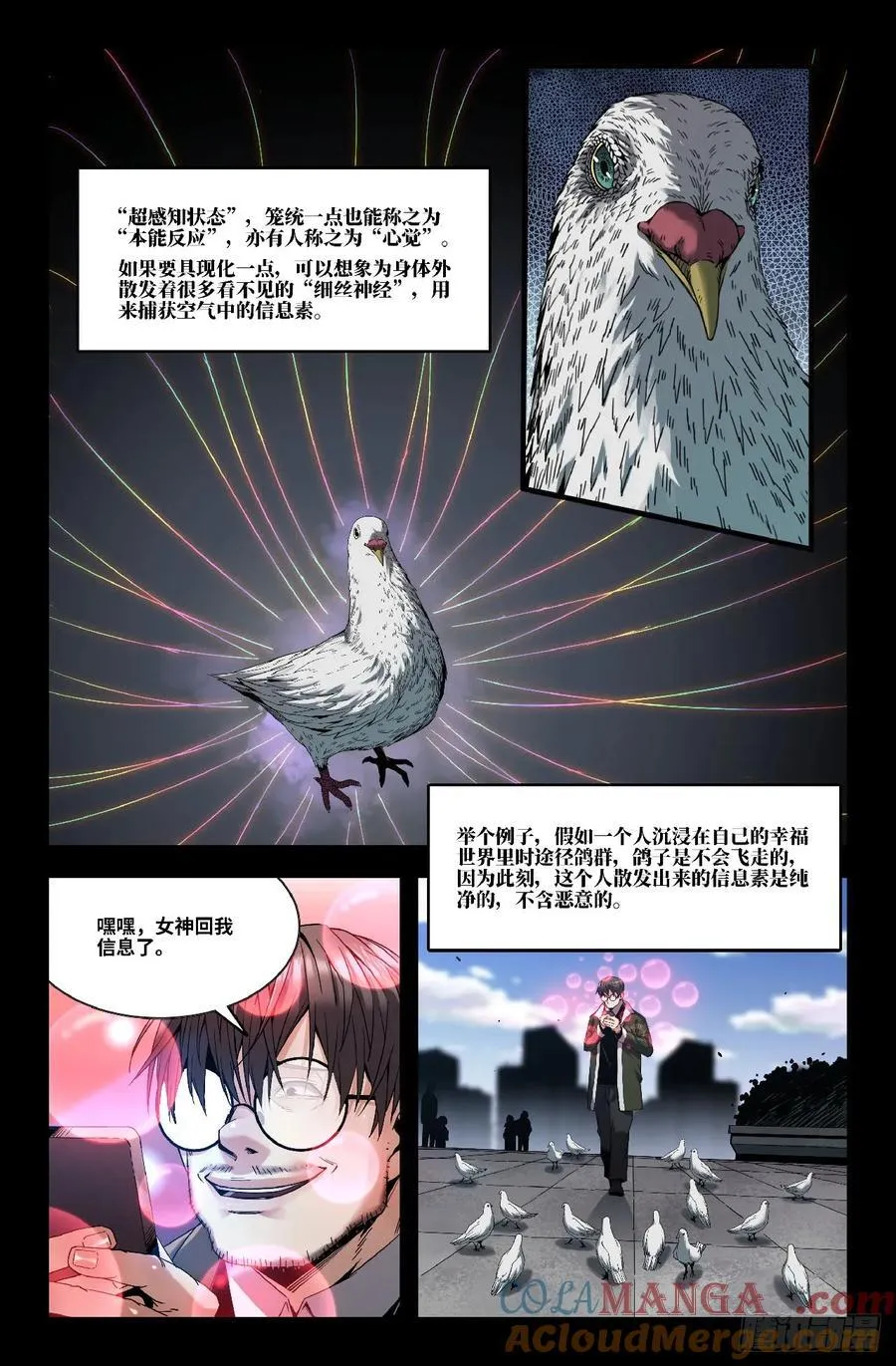 355 世界赛番外558
