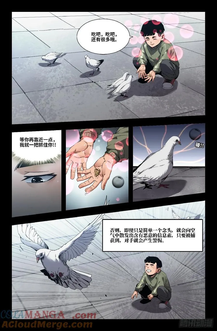 355 世界赛番外559